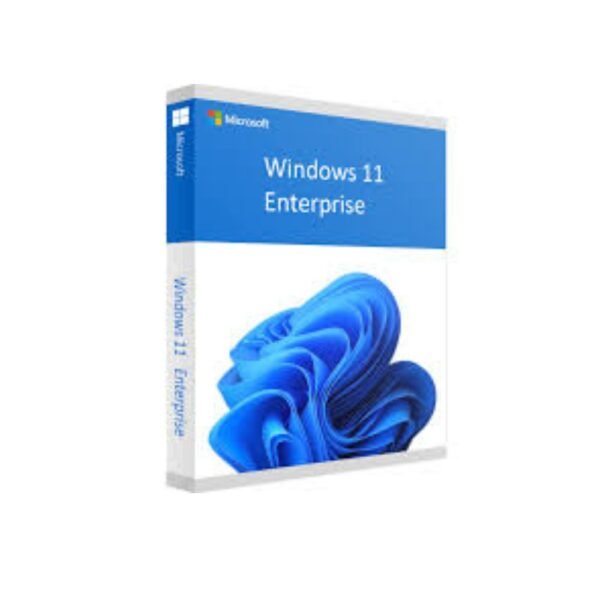 Windows 11 Enterprise 1Pc
